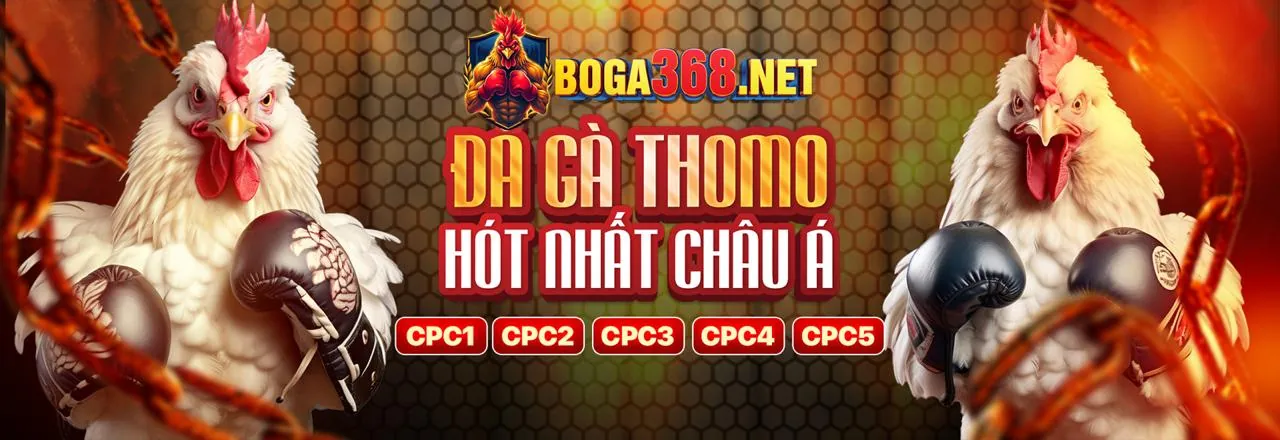 Hình ảnh chính về nền tảng cá cược trực tuyến uy tín iwn68